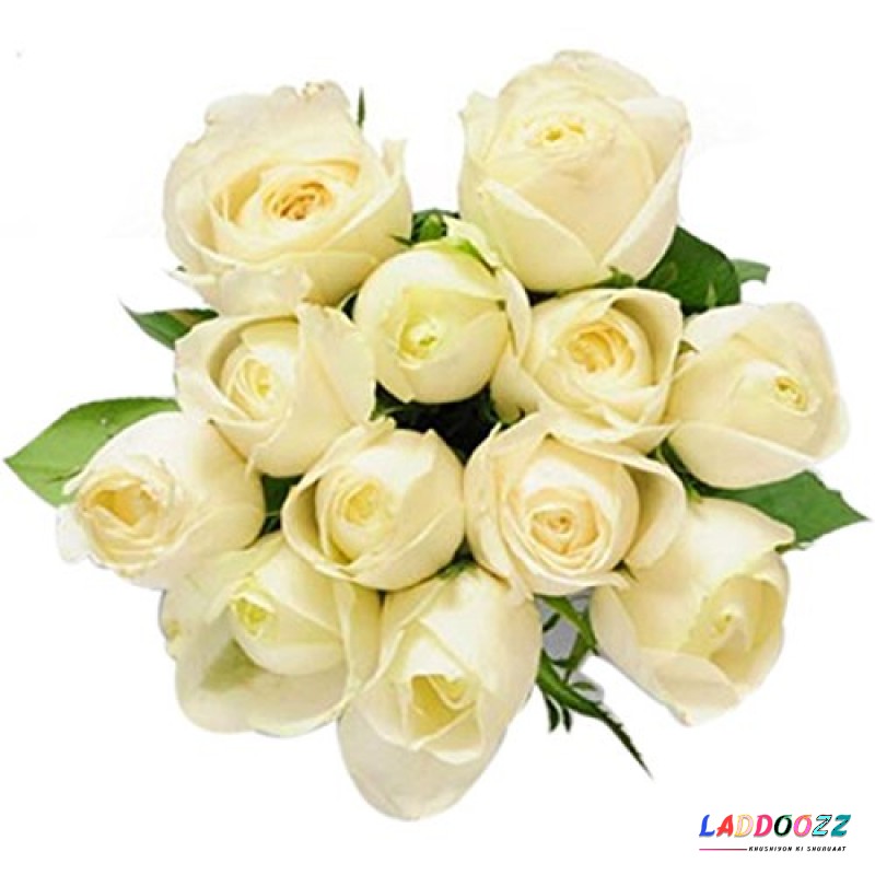 Charming Fresh 12 White Roses Bouquet
